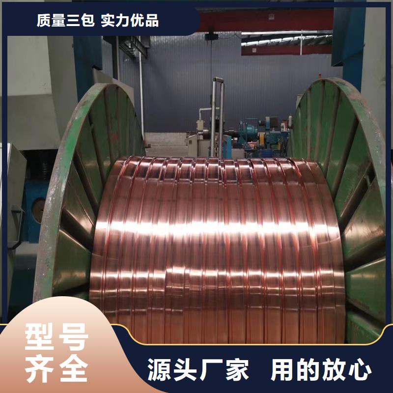 【紫铜排-紫铜带优质材料厂家直销】