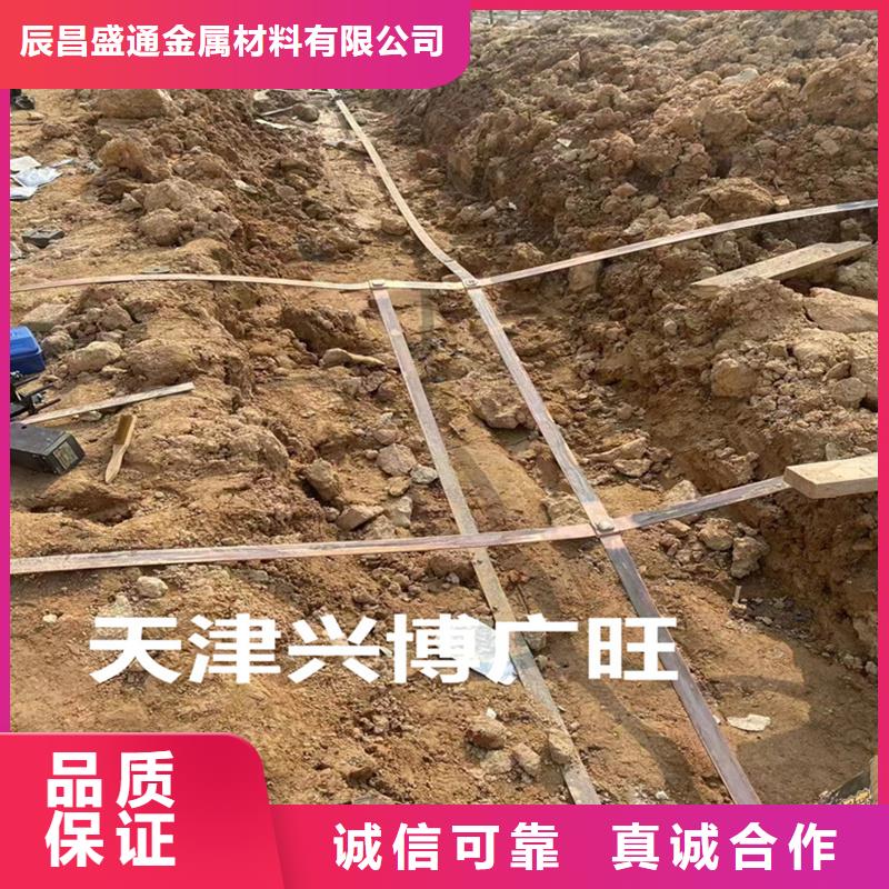 陵水县接地镀锡铜排源头好货今日价格