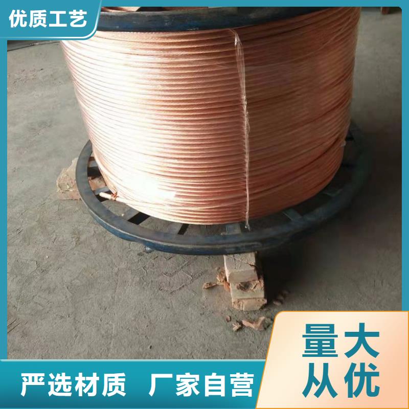 |茌平|高唐|日照|临沂|济南|青岛辰昌盛通铜绞线紫铜棒N年大品牌