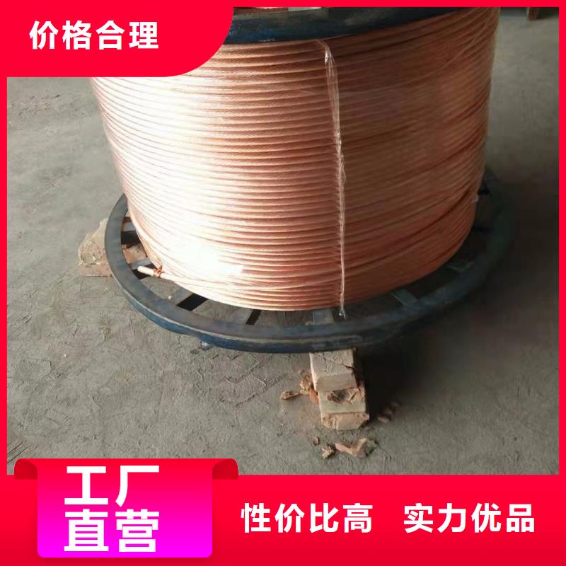 辰昌盛通铜绞线 紫铜排源头厂源头货-业务覆盖区域|西固|榆中|白银|陇南|临夏|张掖-二八商务