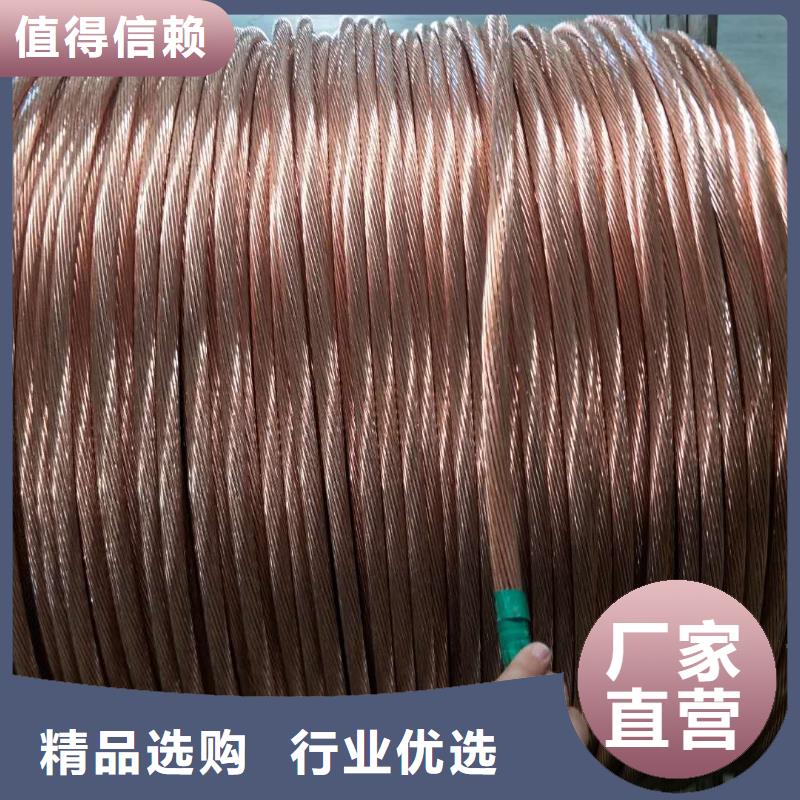 铜绞线 【铝板】通过检测辰昌盛通镀锡铜绞线
