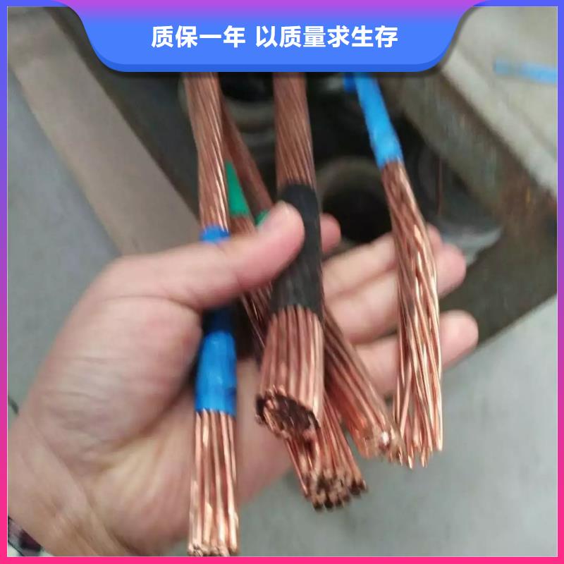 【铜绞线黄铜带根据要求定制】当地生产商