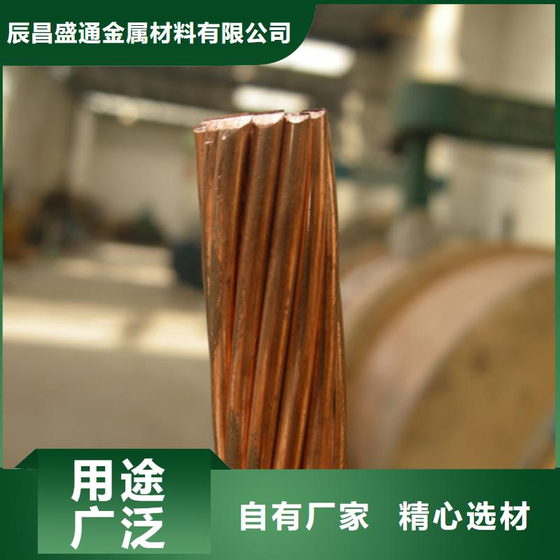 辰昌盛通同行低价【铜绞线】铝板产品性能-业务覆盖区域|中江|广汉|乐山|自贡|资阳|攀枝花-二八商务