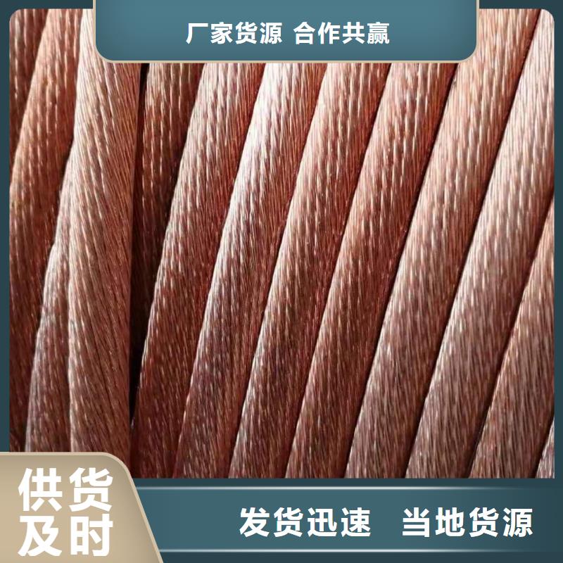 辰昌盛通铜绞线黄铜棒专业按需定制-镀锡铜绞线