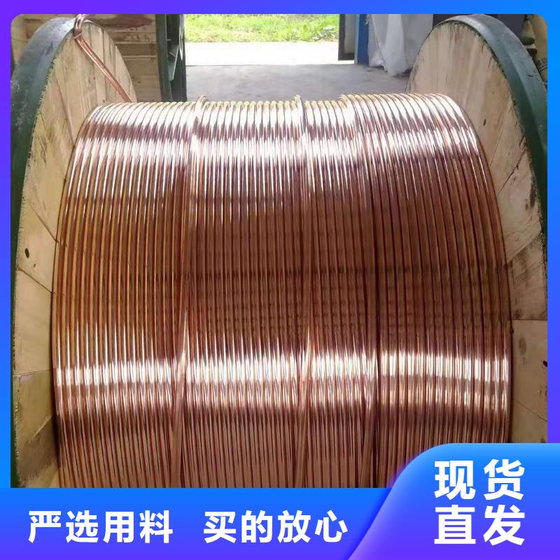 【铜绞线原厂制造】