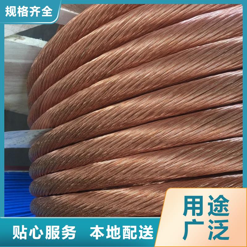 镀锡铜绞线辰昌盛通【 铜绞线,紫铜带一站式采购商家】
