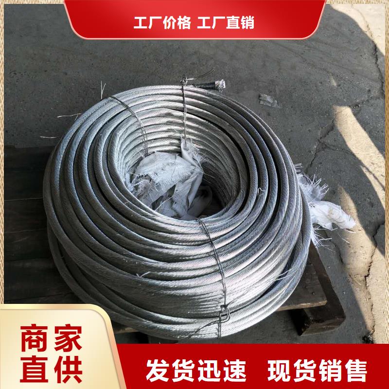 镀锡铜绞线辰昌盛通【 铜绞线,紫铜带一站式采购商家】
