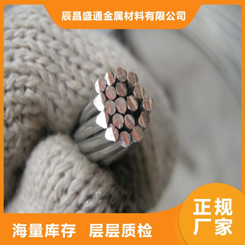 【铜绞线黄铜带根据要求定制】当地生产商
