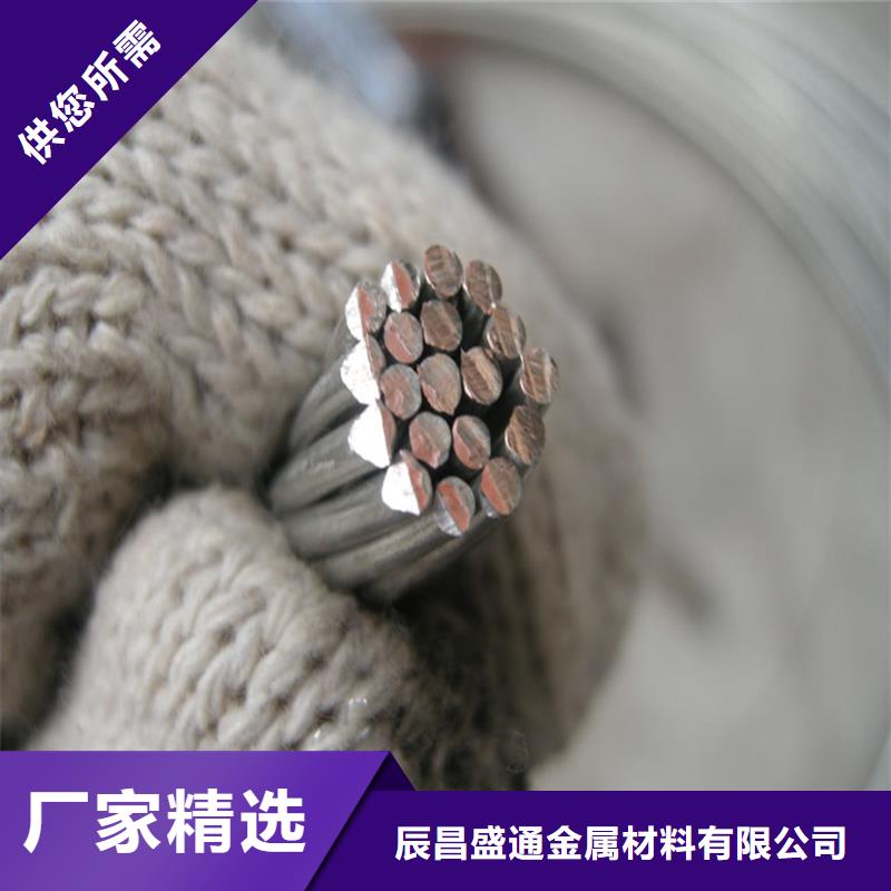 |茌平|高唐|日照|临沂|济南|青岛辰昌盛通铜绞线紫铜棒N年大品牌