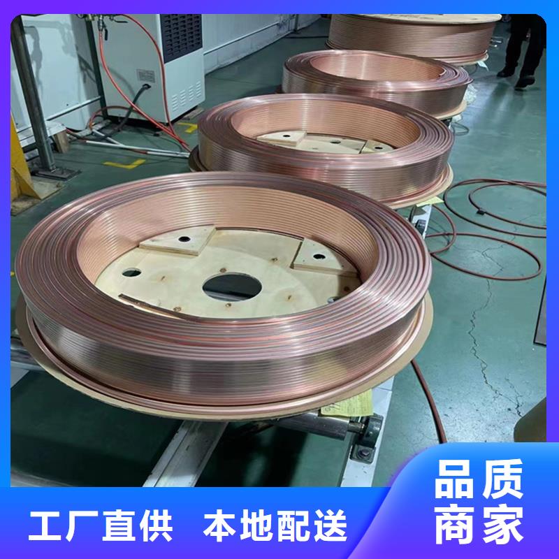 【 紫铜管-铜绞线品质有保障】辰昌盛通镀锡铜绞线