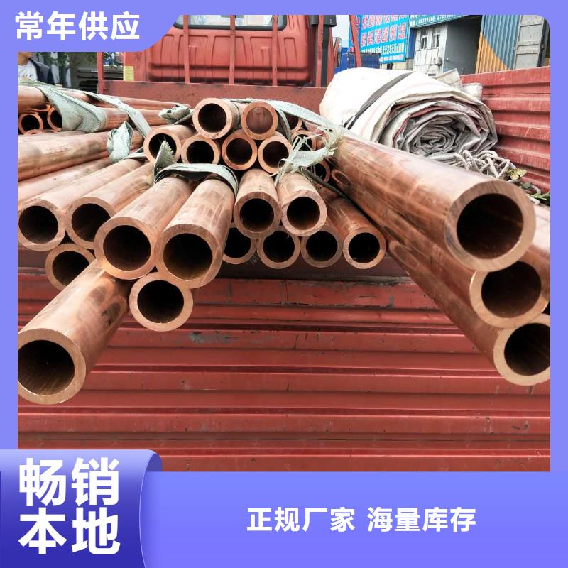 【 紫铜管-铜绞线品质有保障】辰昌盛通镀锡铜绞线