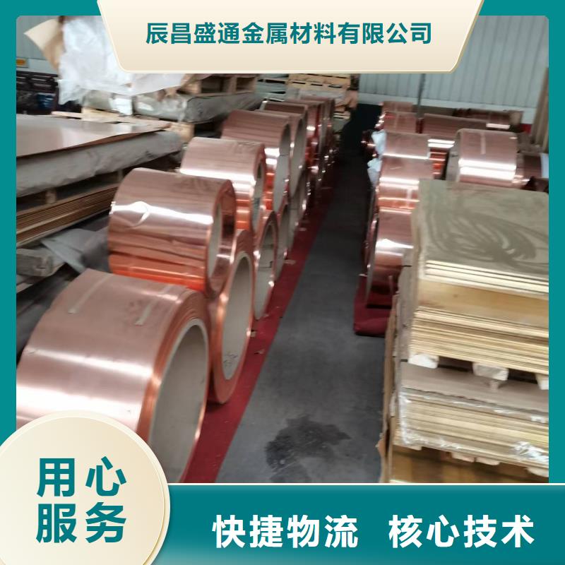 辰昌盛通紫铜板紫铜管品质值得信赖-镀锡铜绞线