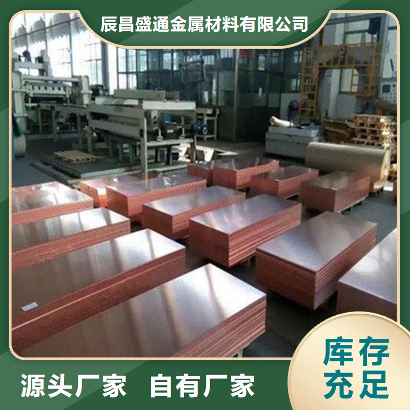 紫铜板-【 紫铜排】厂家定制辰昌盛通镀锡铜绞线