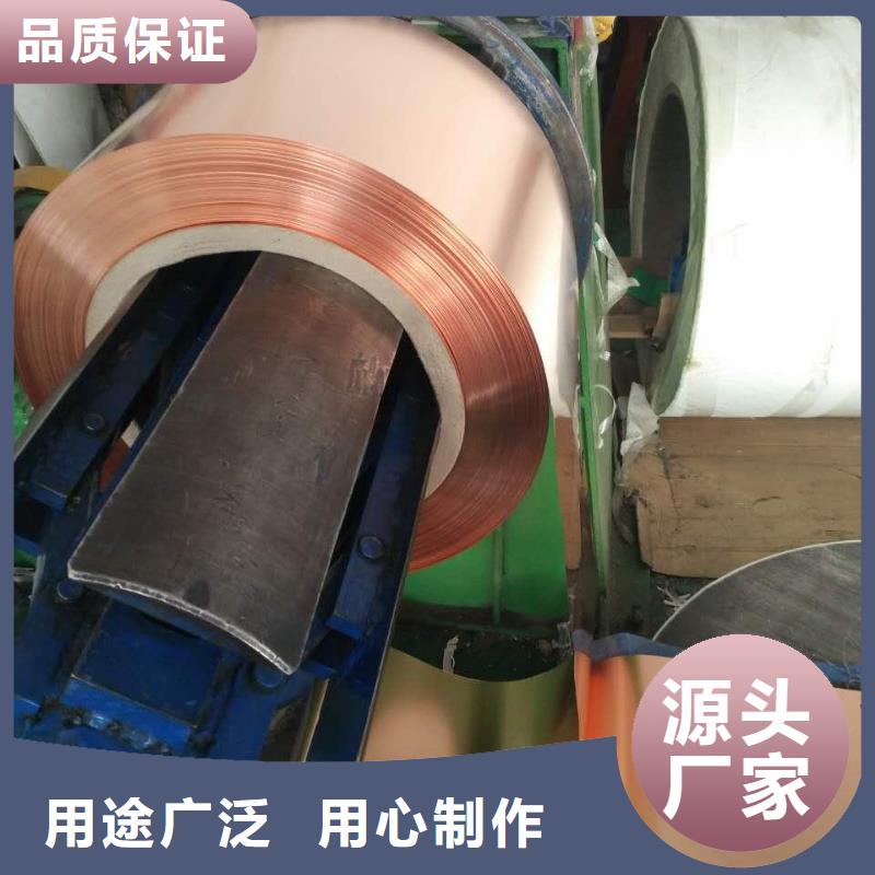 紫铜板-【 紫铜排】厂家定制辰昌盛通镀锡铜绞线
