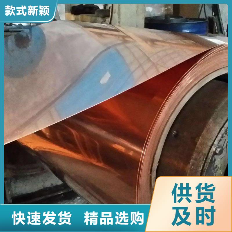 辰昌盛通紫铜板紫铜管品质值得信赖-镀锡铜绞线