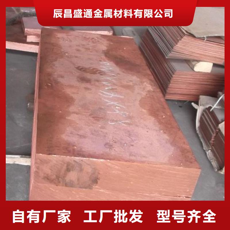 辰昌盛通镀锡铜绞线紫铜板镀锡铜绞线生产型28354.com