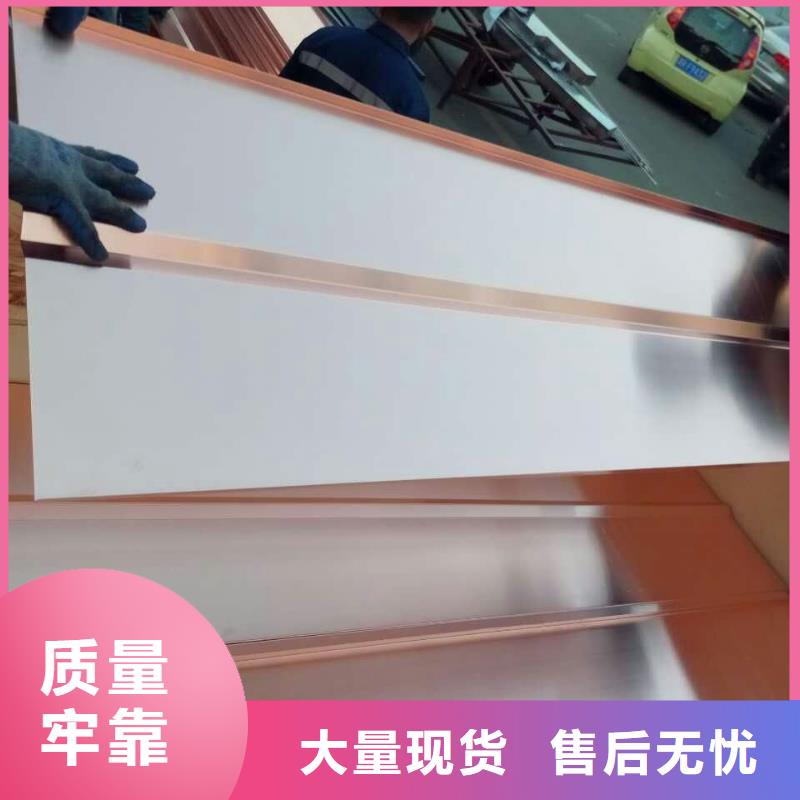 【接地0.3*100紫铜箔】厂家
