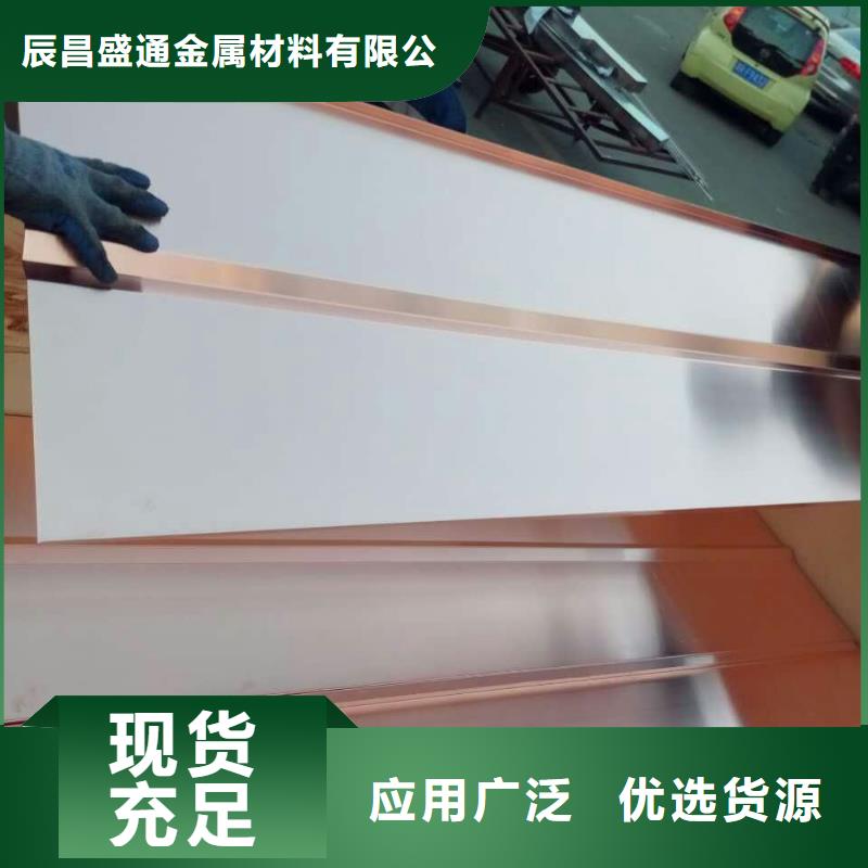 辰昌盛通镀锡铜绞线紫铜板铜绞线厂家直营28354.com