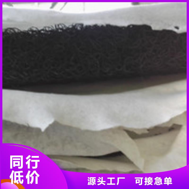 【企业旺旺】,塑料盲沟管专业品质 泰驰排水板生产厂家(茂名市分公司)