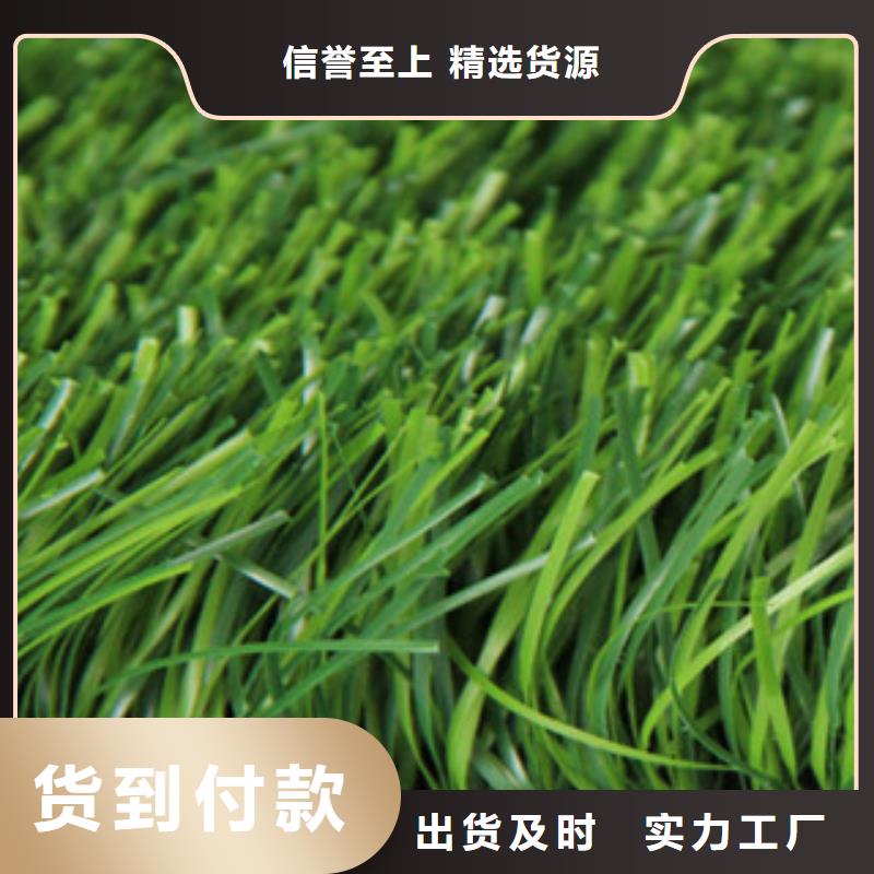 人造草坪,塑胶地板服务周到