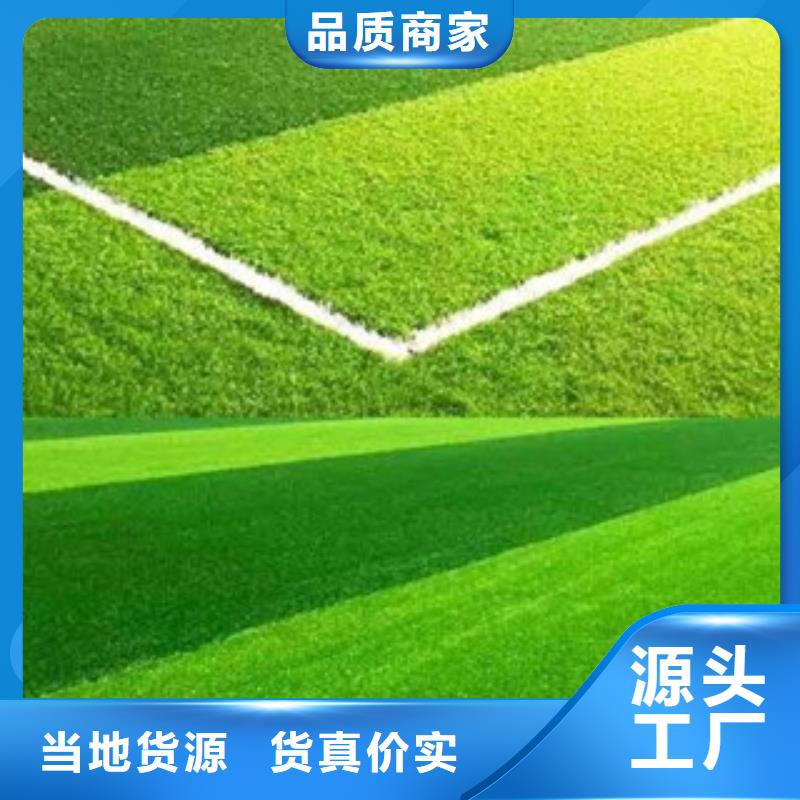 人造草坪硅pu球场来图定制