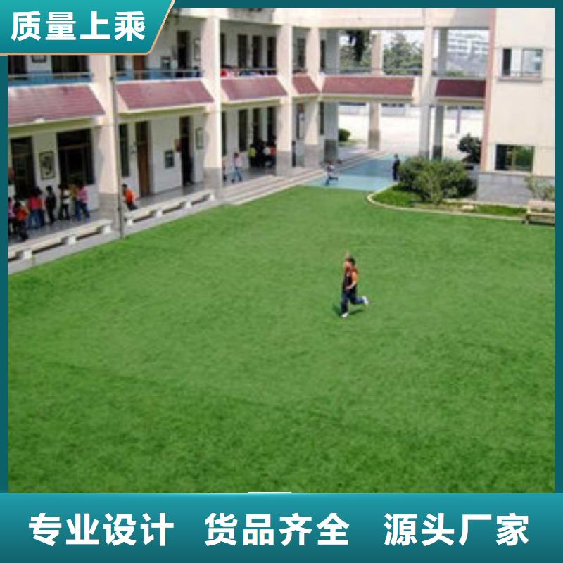 人造草坪室外健身器材支持定制批发