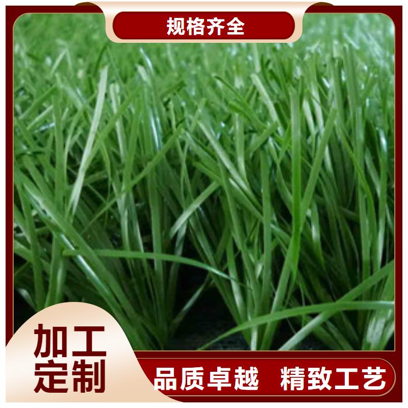 昌冠【人造草坪】_塑胶跑道老客户钟爱-二八商务