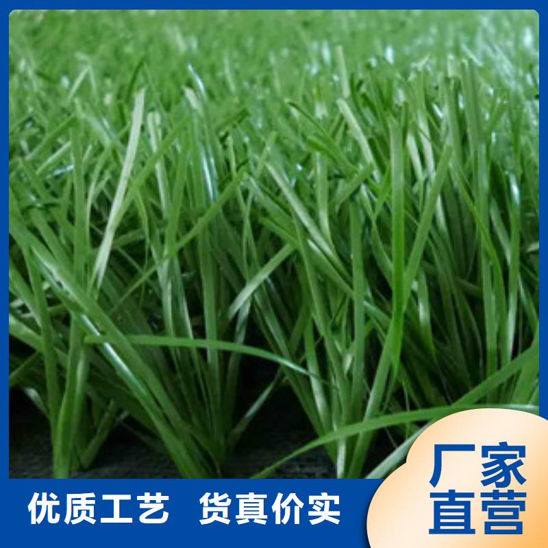 人造草坪塑胶跑道厂家货源稳定