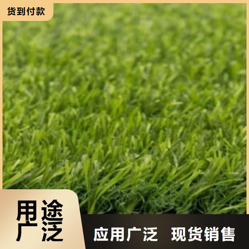 人造草坪,篮球架优质工艺