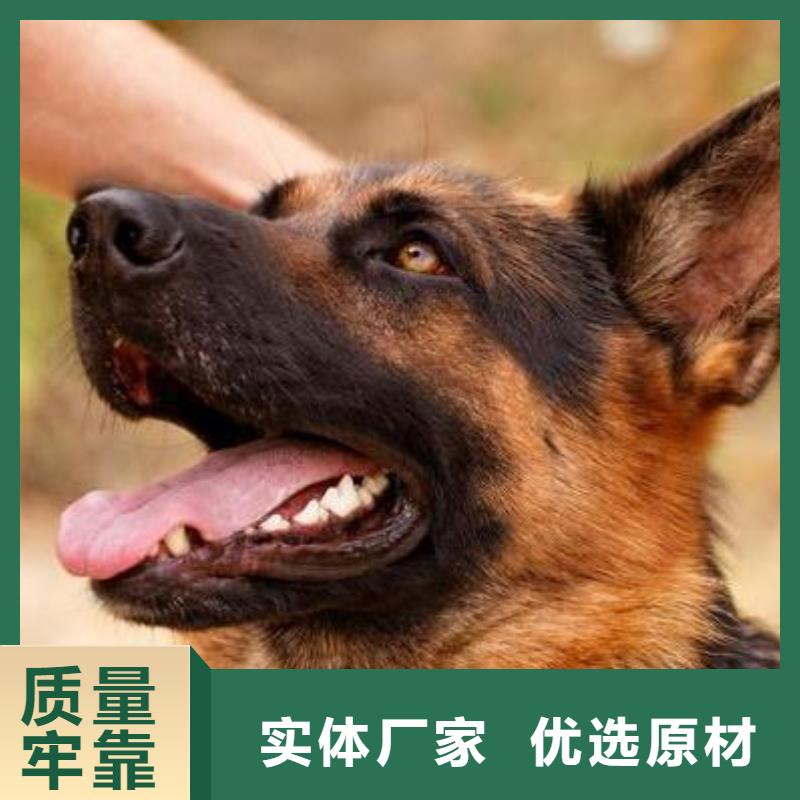 【德国牧羊犬杜宾犬源头厂家来图定制】