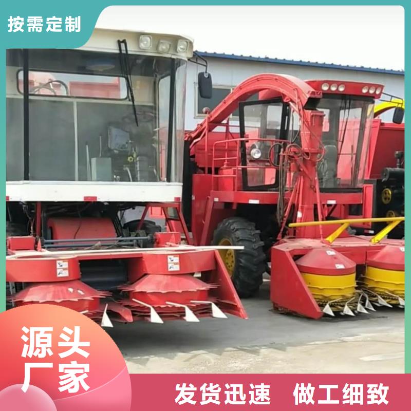 青储机卡斯罗犬诚信为本