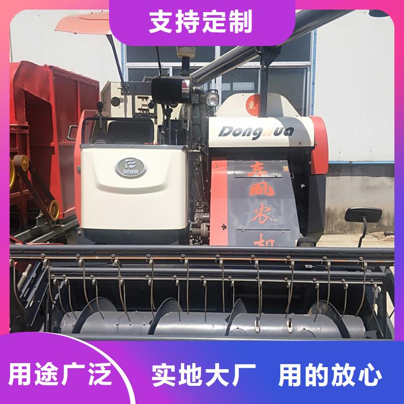 青储机比特犬当地货源