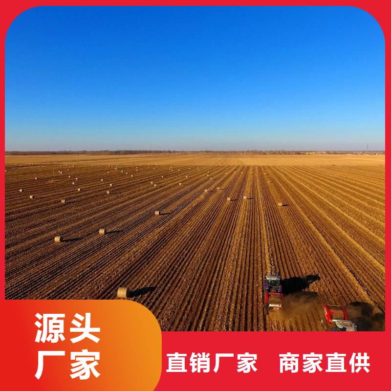 供应商的好产品不怕比 打捆机_【杜宾犬】厂家|{当地}供应商