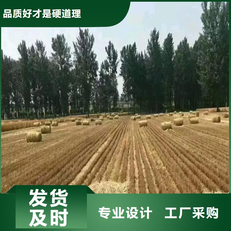 打捆机-黑狼快捷的物流配送