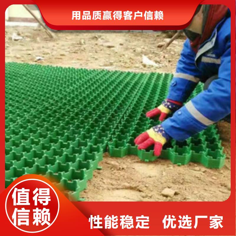 环保植草格虹吸排水板厂家真实拍摄品质可靠