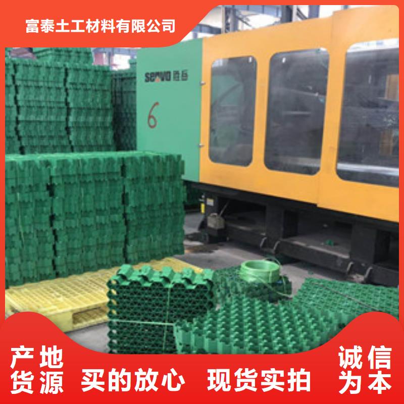 环保植草格_土工布厂家多年行业经验