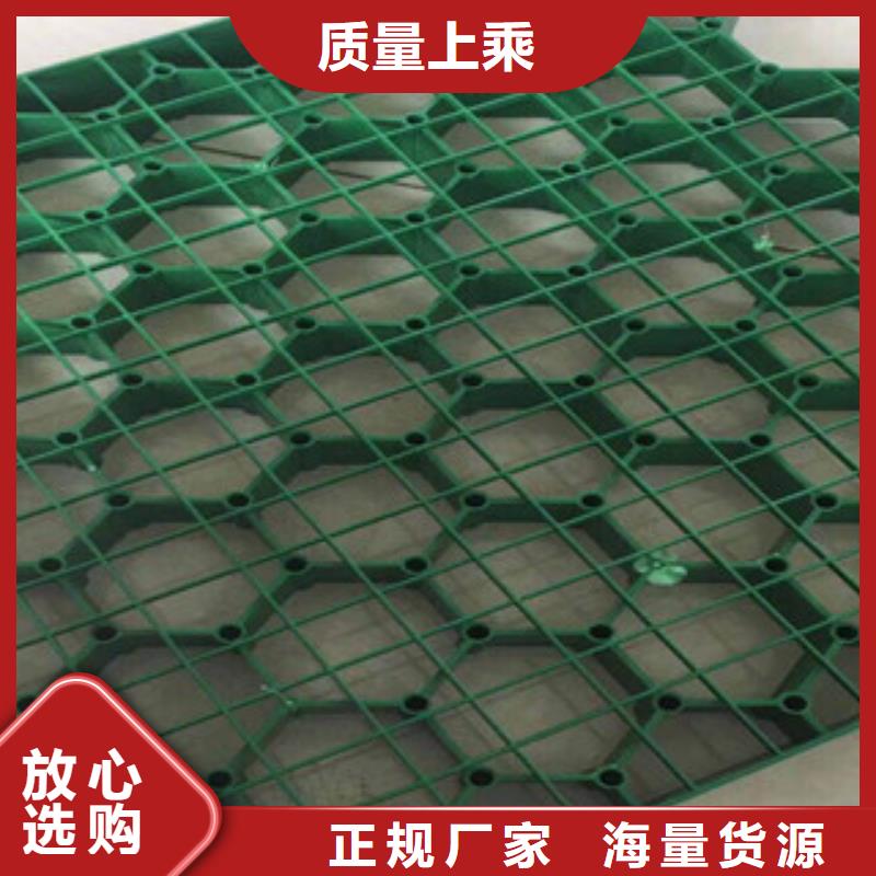 【环保植草格土工布厂家源头厂家经验丰富】