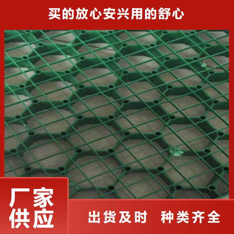 环保植草格植草格厂家自营品质有保障