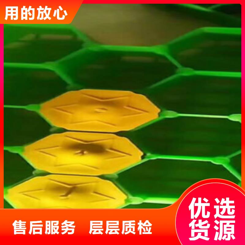 环保植草格-土工膜厂家打造行业品质