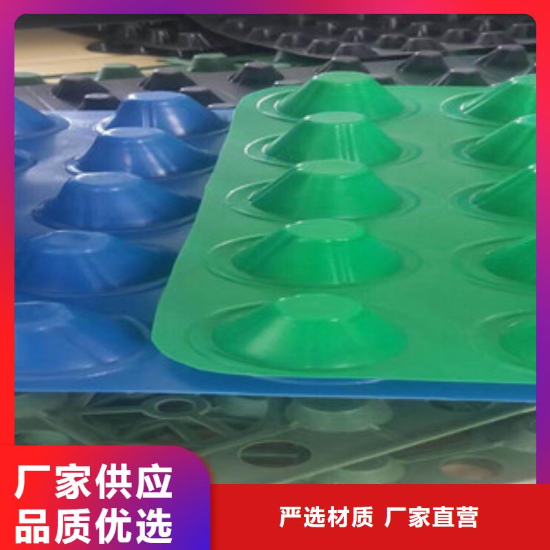 塑料排水板_排水板厂家厂家技术完善