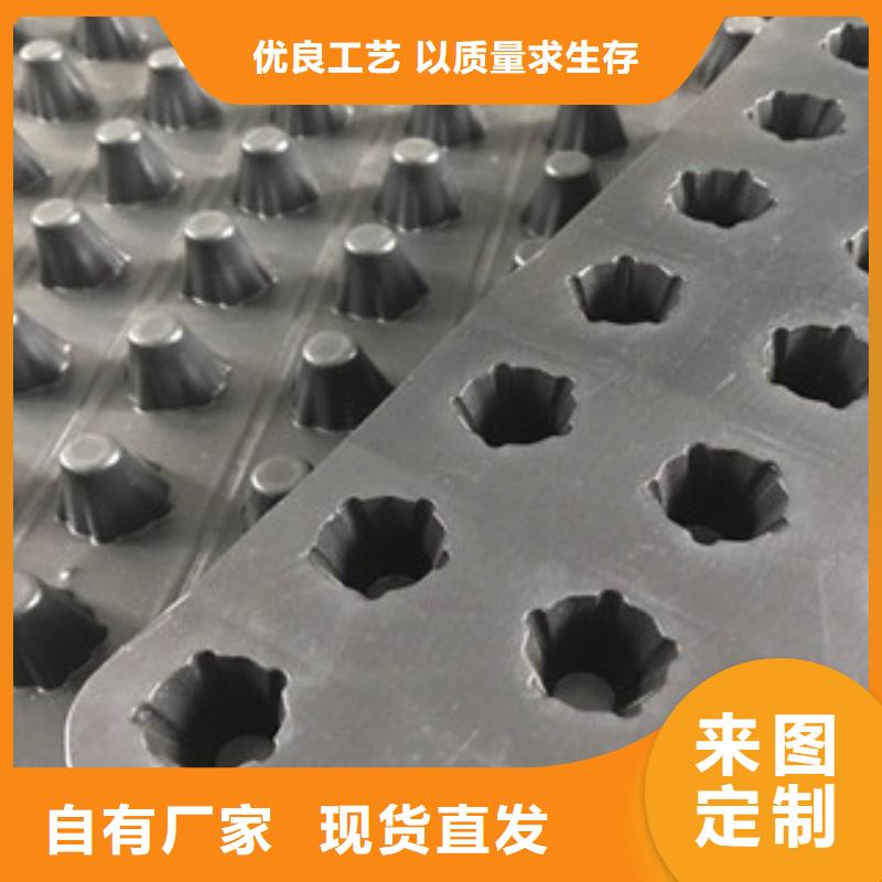 塑料排水板蓄排水板厂家满足客户所需