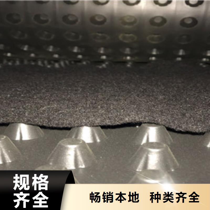塑料排水板土工布厂家就近发货