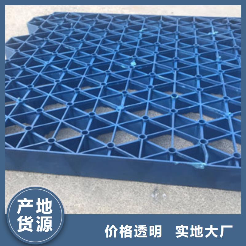【植草格】-土工布厂家实力优品主推产品