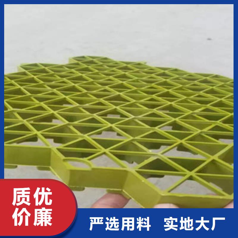 严格把关质量放心【植草格】-土工布厂家实力优品_富泰土工材料