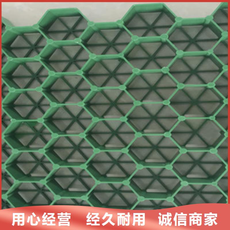 植草格排水板厂家现货销售