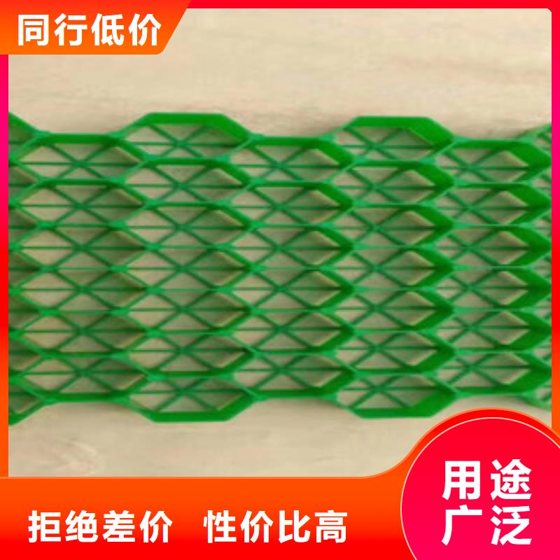 植草格排水板厂家现货销售