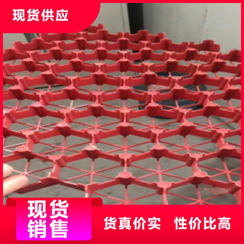 植草格排水板厂家现货销售