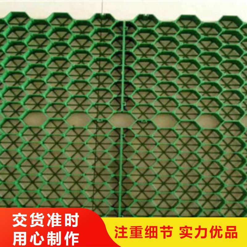 植草格排水板厂家供货及时