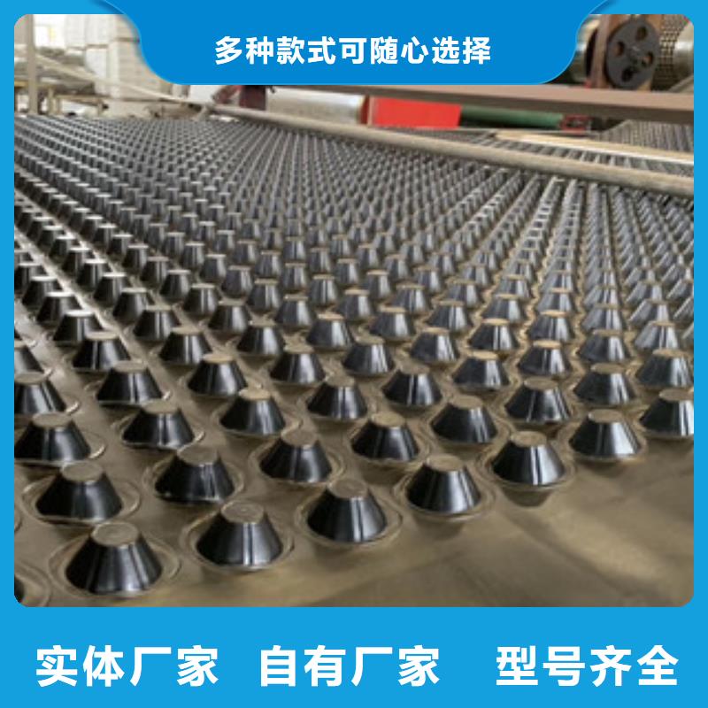 排水板-土工膜厂家加工定制