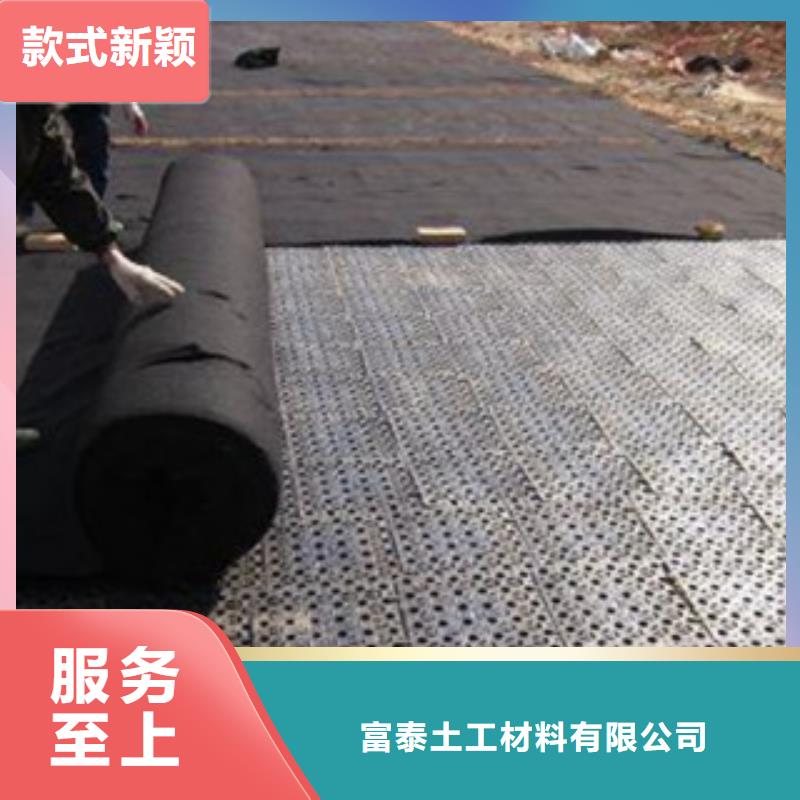 排水板植草格厂家诚信商家